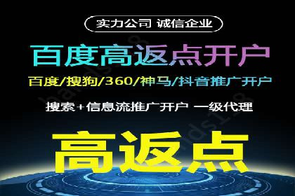 谷歌竞价广告的投放策略与成功案例分析